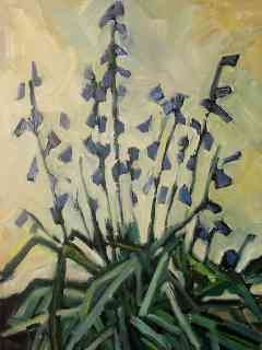 bloemen wilde hyacint